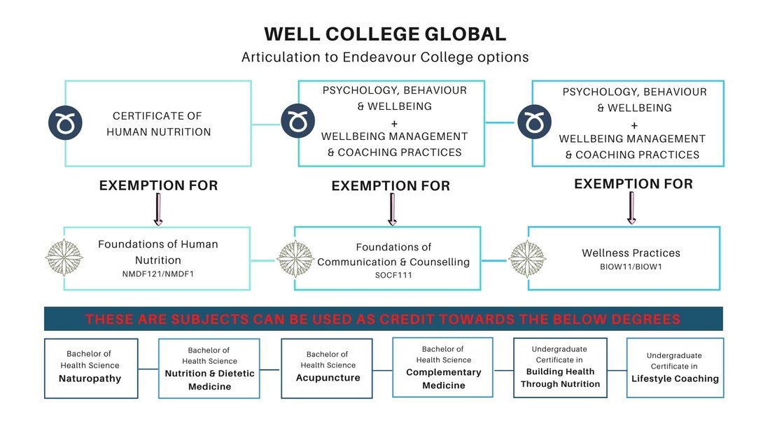 Nutrition degrees at Well College Global