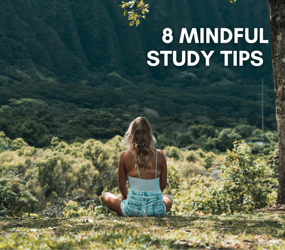 study tips for students blog post