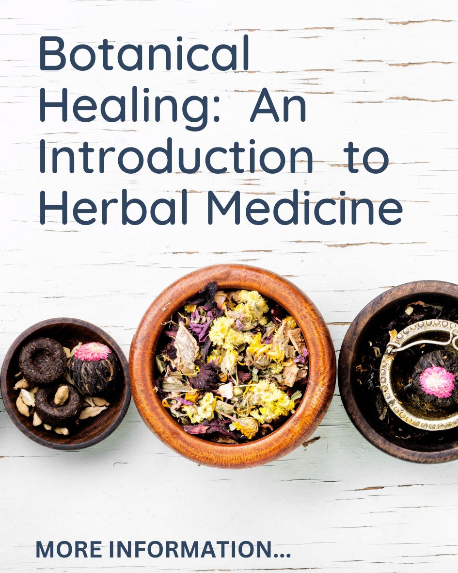 herbal medicine courses
